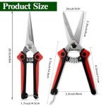 Stainless Steel Pruning Shears for Gardening
