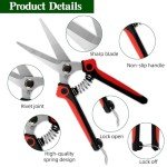 Stainless Steel Pruning Shears for Gardening