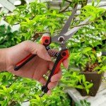 Stainless Steel Pruning Shears for Gardening