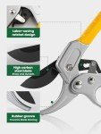 GROWNEER 3-Pack Stainless Steel Gardening Scissors