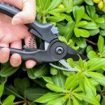 Lightweight Garden Pruning Scissors with SK-5 Blades