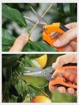 GROWNEER 3-Pack Stainless Steel Gardening Scissors