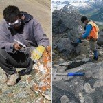 5-Piece Geology Rock Pick and Tool Kit