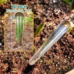 Stainless Steel Seed Dibber with Wooden Handle