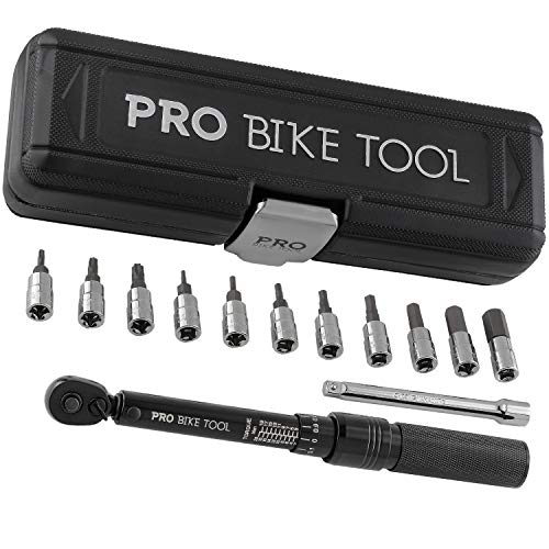 Bike Torque Wrench Set with Storage Box & Sockets