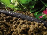 Cellfast 1/2'' Weeping Hose for Precise Irrigation