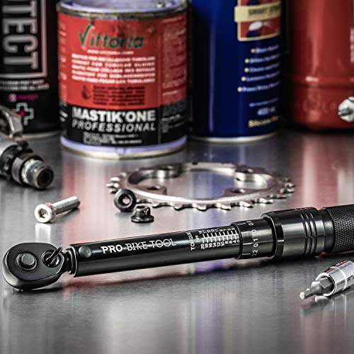 Bike Torque Wrench Set with Storage Box & Sockets