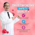 Zoone Super Yerba Mate Instant Tea Powder with Prebiotics & Probiotics - Raspberry Lemonade Flavor for Gut Health, Energy Boost & Focus - 30 Servings Packets