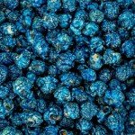 Colby Ridge Blue Gourmet Craft Popped Gluten Free Popcorn Bulk Sized Large Gift Party Bags (Bulk 5 Gal. 80 Cups)