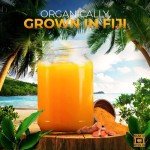 Fresh Organic Turmeric Root - 1 Lb