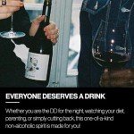 Oddbird GSM Non Alcoholic Red Wine & Blanc de Blancs Sparkling Non Alcoholic Dry White Wine, Gluten Free, Zero Proof with Dealcoholized Grapes, Two 25.4 fl oz Bottles