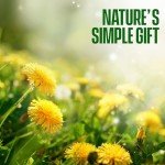 Dandelion Root Tea - Raw Organic Herbal Tea, Caffeine Free, 100 bags