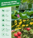 30Pcs Winter Melon Lotus Leaf Tea, Oil Cleansing Tea for Liver & Kidney, Oil Reducing Teabag, Easy Brewing, Steep Repeatedly Teabag, 8 Ingredients Natural Blend Formula