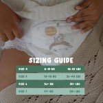 Eco by Naty Pull Ups - Hypoallergenic and Chemical-Free Training Pants, Highly Absorbent and Eco Friendly Pull Ups for Boys and Girls - Size (4) 2T-3T (18-33 lbs) – 108 Count