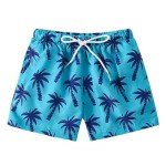 Boys Swim Trunks Toddler Broad Swim Shorts Quick Dry Kids Swim Bathing Suit Boys Swim Set Blue Coconut 2-3T 100