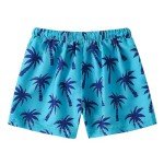 Boys Swim Trunks Toddler Broad Swim Shorts Quick Dry Kids Swim Bathing Suit Boys Swim Set Blue Coconut 2-3T 100