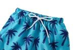Boys Swim Trunks Toddler Broad Swim Shorts Quick Dry Kids Swim Bathing Suit Boys Swim Set Blue Coconut 2-3T 100
