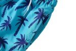 Boys Swim Trunks Toddler Broad Swim Shorts Quick Dry Kids Swim Bathing Suit Boys Swim Set Blue Coconut 2-3T 100