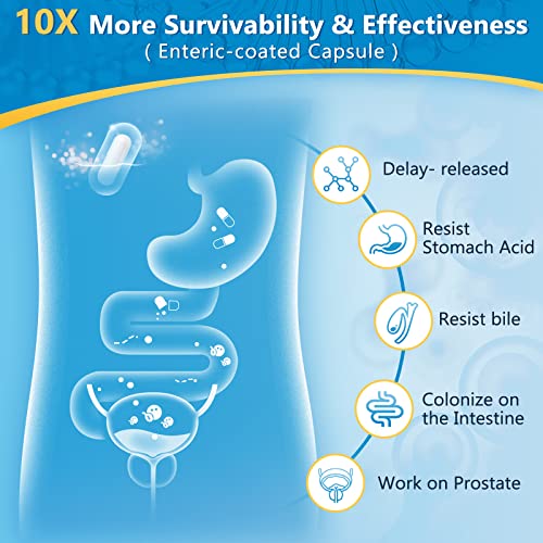 Probiotics for Men Digestive Health with Digestive Enzymes & Prebiotics, 100 Billion CFUs, Men's Probiotics with Saw Palmetto & Cranberry for Prostate & Urinary Tract Health, 90 Veggie Capsules