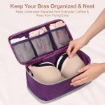 Cambond Travel Underwear Organizer Bag - Lightweight Expandable Bra Bag Organizer for A-C Cup Bras, Portable Travel Packing Organizers Underwear Storage Bag Compression Packing Cubes for Women Purple