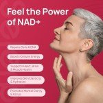 Selerb NAD+ Supplement for Women - NMN Alternative with β-NAD+, Trans-Resveratrol, CoQ10, D-Ribose - Promotes Cellular Renewal, Energy, and Radiant Skin Health - 180 Capsules
