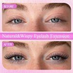 Wispy Lash Clusters Natural Eyelash Clusters Invisible Thin Band 8-16mm Cluster Eyelash Extension DIY Lash Extensions with D Curl-Wide Span Individual Lashes by WTVANE