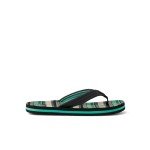 Reef Kids Ahi Flip-Flop - Blanket Stripe, Size 4