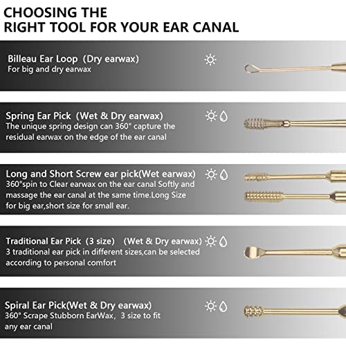 Hion 6 Pcs Ear Wax Removal Kit,Professional Double-Headed Ear Pick Earwax Removal Tools,316L Stainless Steel Ear Cleaner Curette with Cleaning Brush and Storage Box,Suit for Kid Adult(Gold)