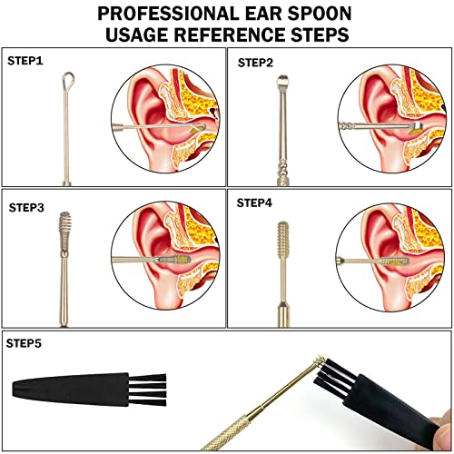 Hion 6 Pcs Ear Wax Removal Kit,Professional Double-Headed Ear Pick Earwax Removal Tools,316L Stainless Steel Ear Cleaner Curette with Cleaning Brush and Storage Box,Suit for Kid Adult(Gold)