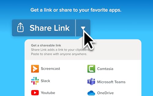 Snagit 2024 - Screen Capture & Image Editor [PC/Mac Online Code]