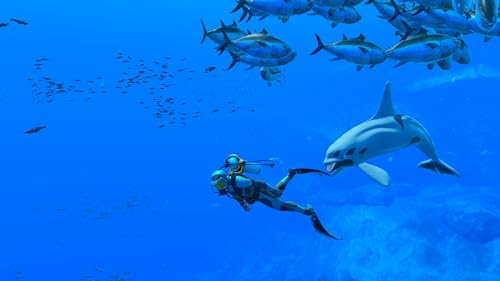 Endless Ocean: Luminous (EU Import)