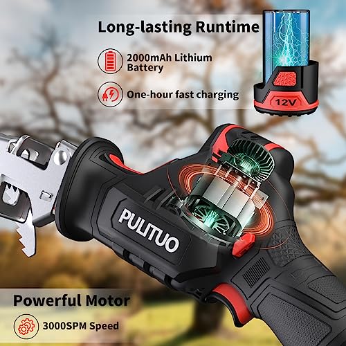 PULITUO Cordless Reciprocating Saw, Speed 3000SPM，with Clamping Jaw, 2000 mAh Battery/ 1-Hour Fast Charge,Safety Gloves& Goggles, 4Pcs of Saw Blades for Wood/Metal/PVC