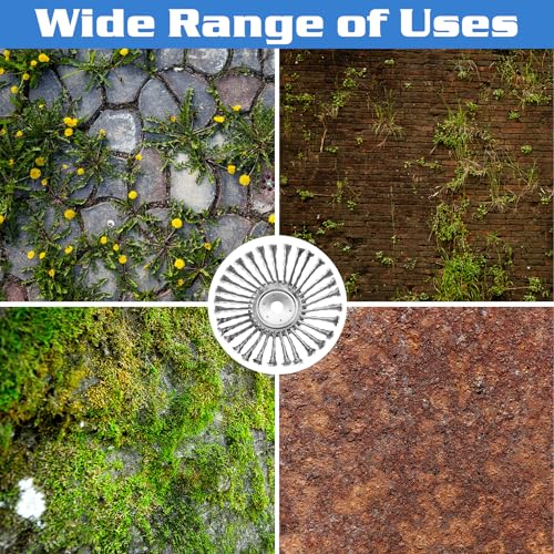 IRmm 10 Inch Unbreakable Wired Trimmer Blade for Weed Eater, Steel Wire Rotary Brush Cutter Trimmer Head, Weed Eater Head for Moss Grass Rust Removal, Paving Stone, Pavement Joints or Driveway