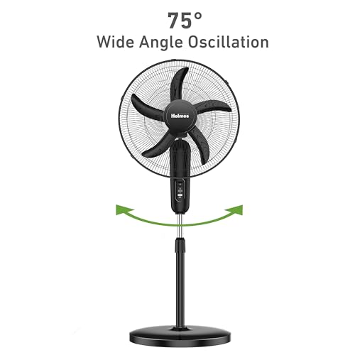 HOLMES 18" Stand Fan, 80° Oscillation, 3 Speeds, 5 Blades, Adjustable Height, 30° Head Tilt, Ideal for Home, Bedroom or Office, Black