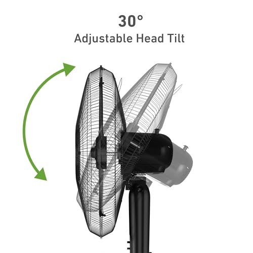 HOLMES 18" Stand Fan, 80° Oscillation, 3 Speeds, 5 Blades, Adjustable Height, 30° Head Tilt, Ideal for Home, Bedroom or Office, Black