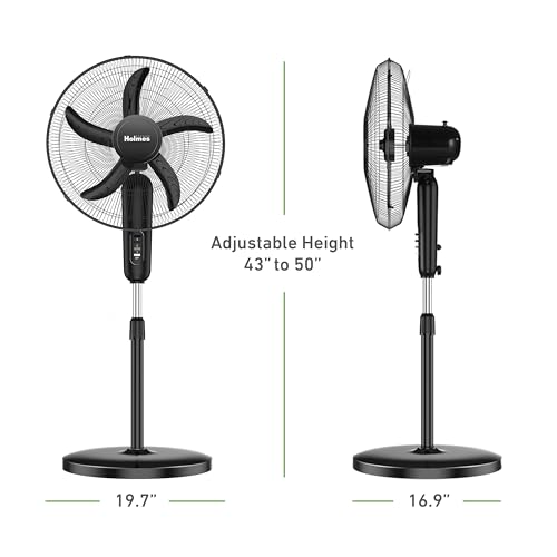 HOLMES 18" Stand Fan, 80° Oscillation, 3 Speeds, 5 Blades, Adjustable Height, 30° Head Tilt, Ideal for Home, Bedroom or Office, Black