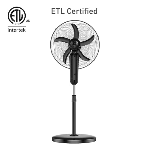 HOLMES 18" Stand Fan, 80° Oscillation, 3 Speeds, 5 Blades, Adjustable Height, 30° Head Tilt, Ideal for Home, Bedroom or Office, Black