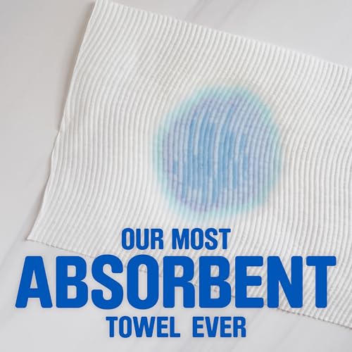 Scott Paper Towels, Choose-A-Sheet, 6 Double Rolls = 12 Regular Rolls (100 Sheets Per Roll)