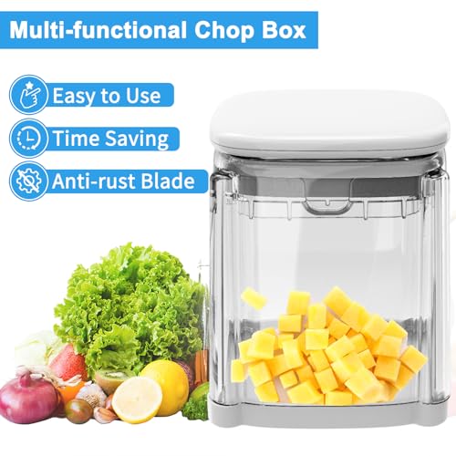 CrazyQueen French Fry Cutter 4-in-1 Food Dicer Chop Box, Potato Cutter for Fries Potato French Fry Onion Cutter Food Chopper Manual Hand Vegetable Cutter Dicer Apple Slicer, 4 Blades
