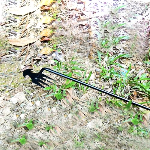 XFJTECH Weed Puller Tool 2024 Upgrade Artifact Uprooting Weeding Tool Length of 19.69in Stainless Steel Multifunctional 4 Teeths Manual Weeders for Garden, Yard, and Farm (1Pc)
