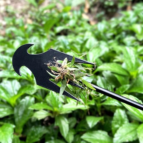 XFJTECH Weed Puller Tool 2024 Upgrade Artifact Uprooting Weeding Tool Length of 19.69in Stainless Steel Multifunctional 4 Teeths Manual Weeders for Garden, Yard, and Farm (1Pc)