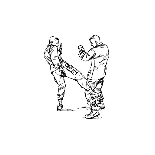 U.S. Army Field Manual FM 3-25.150 (21-150) COMBATIVES