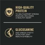 Senior Probiotic Dog Food - Chicken & Rice Blend