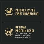 Senior Probiotic Dog Food - Chicken & Rice Blend