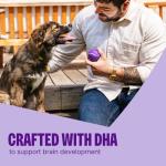 Grain-Free Wellness CORE Puppy Training Treats