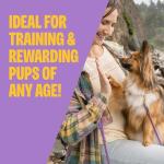 Wellness Grain-Free Puppy Training Treats 3oz