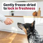 Wag Freeze-Dried Beef Liver Dog Treats