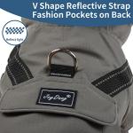 JoyDaog Waterproof Raincoat with Hood for XS Dogs