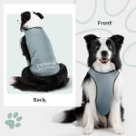 Cooling Dog Shirt with UV Protection and Quick Dry