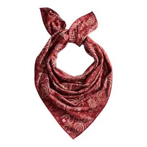 MISSION Red Paisley Cooling Bandana for Dogs